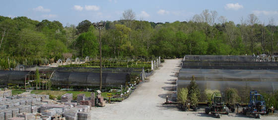 nurseryoverview1.jpg