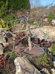 picture004.jpg